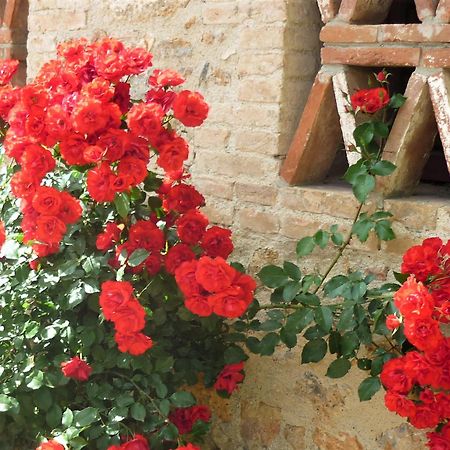 Fattoria Agriturismo Nerbona 카솔레 델사 외부 사진