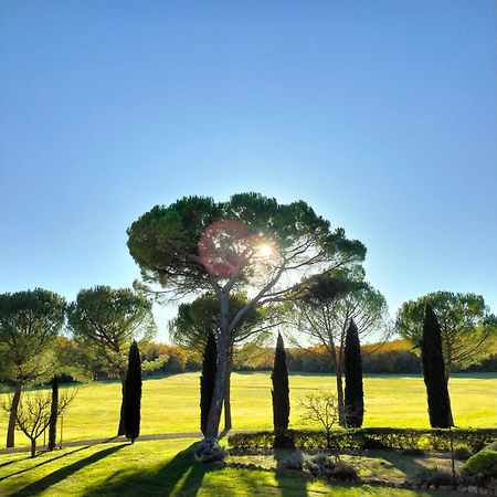 Fattoria Agriturismo Nerbona 카솔레 델사 외부 사진