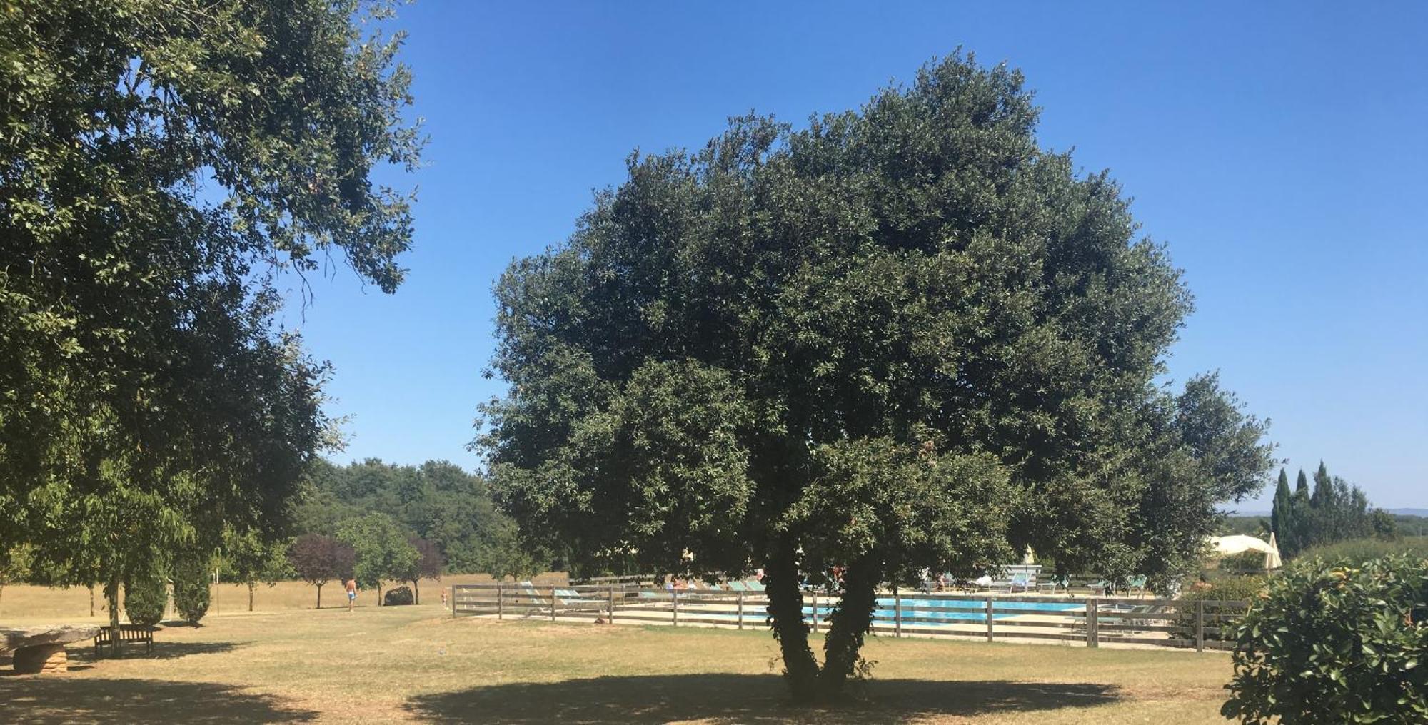 Fattoria Agriturismo Nerbona 카솔레 델사 외부 사진