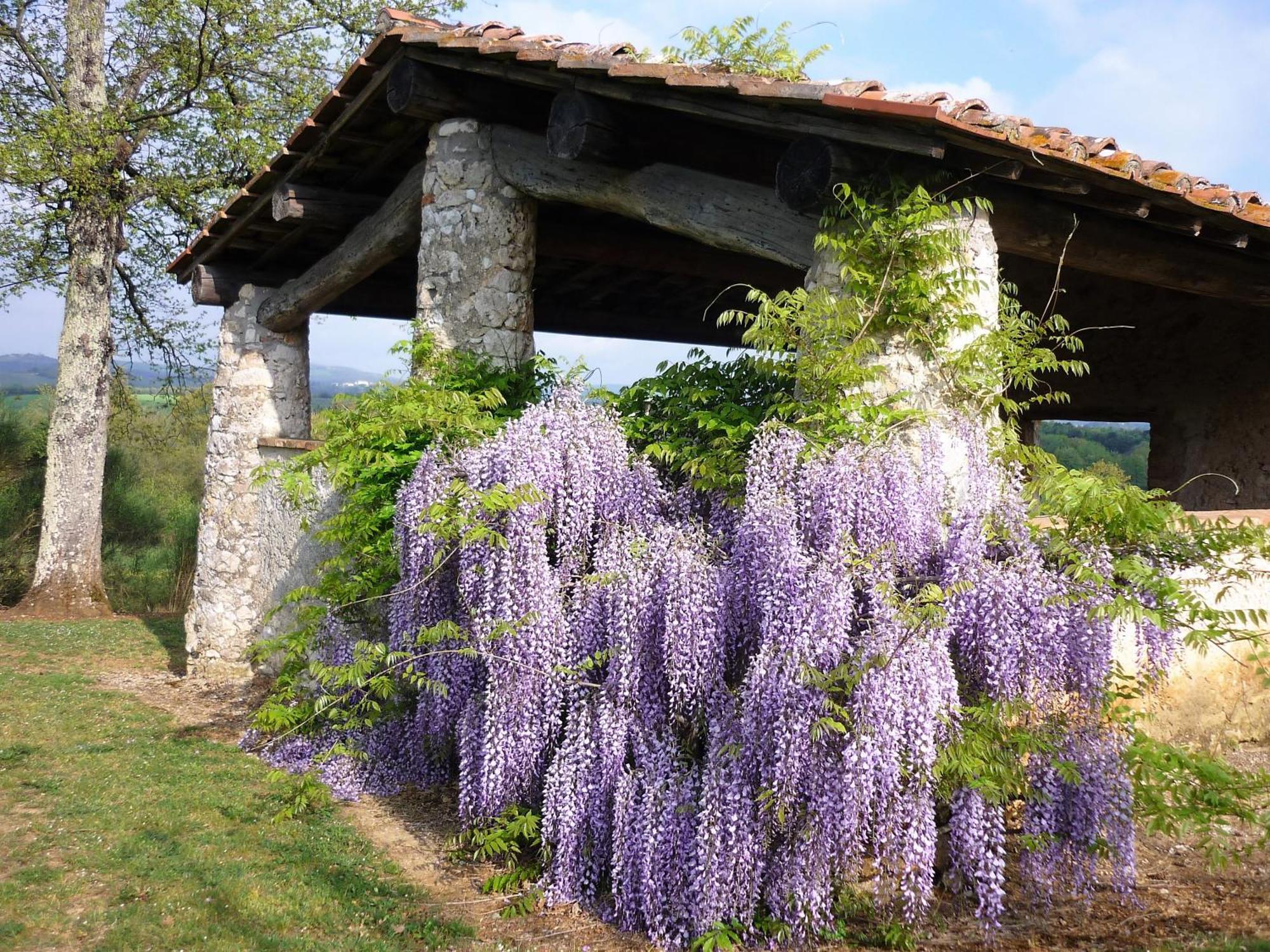 카솔레 델사 Fattoria Agriturismo Nerbona 빌라 외부 사진