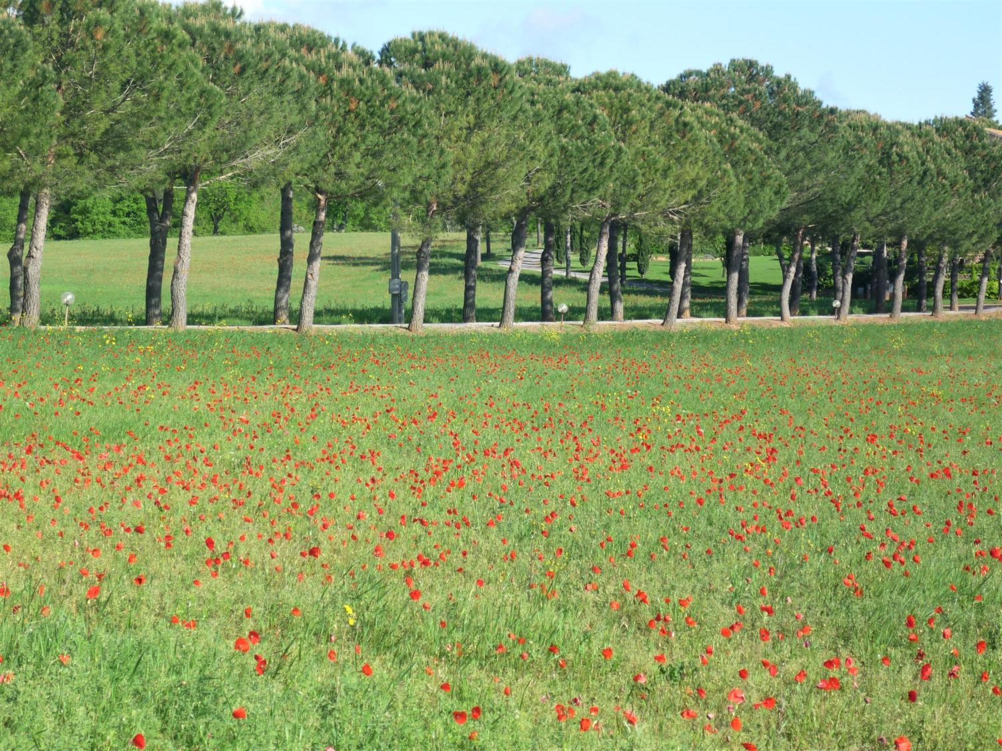 카솔레 델사 Fattoria Agriturismo Nerbona 빌라 외부 사진