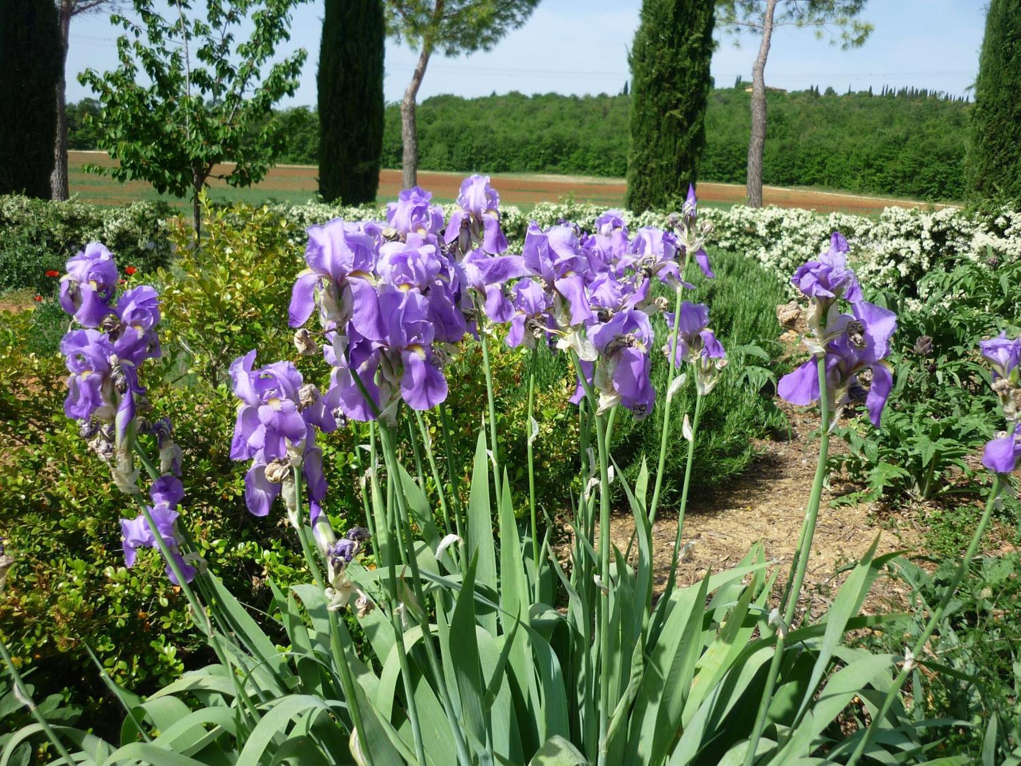 카솔레 델사 Fattoria Agriturismo Nerbona 빌라 외부 사진